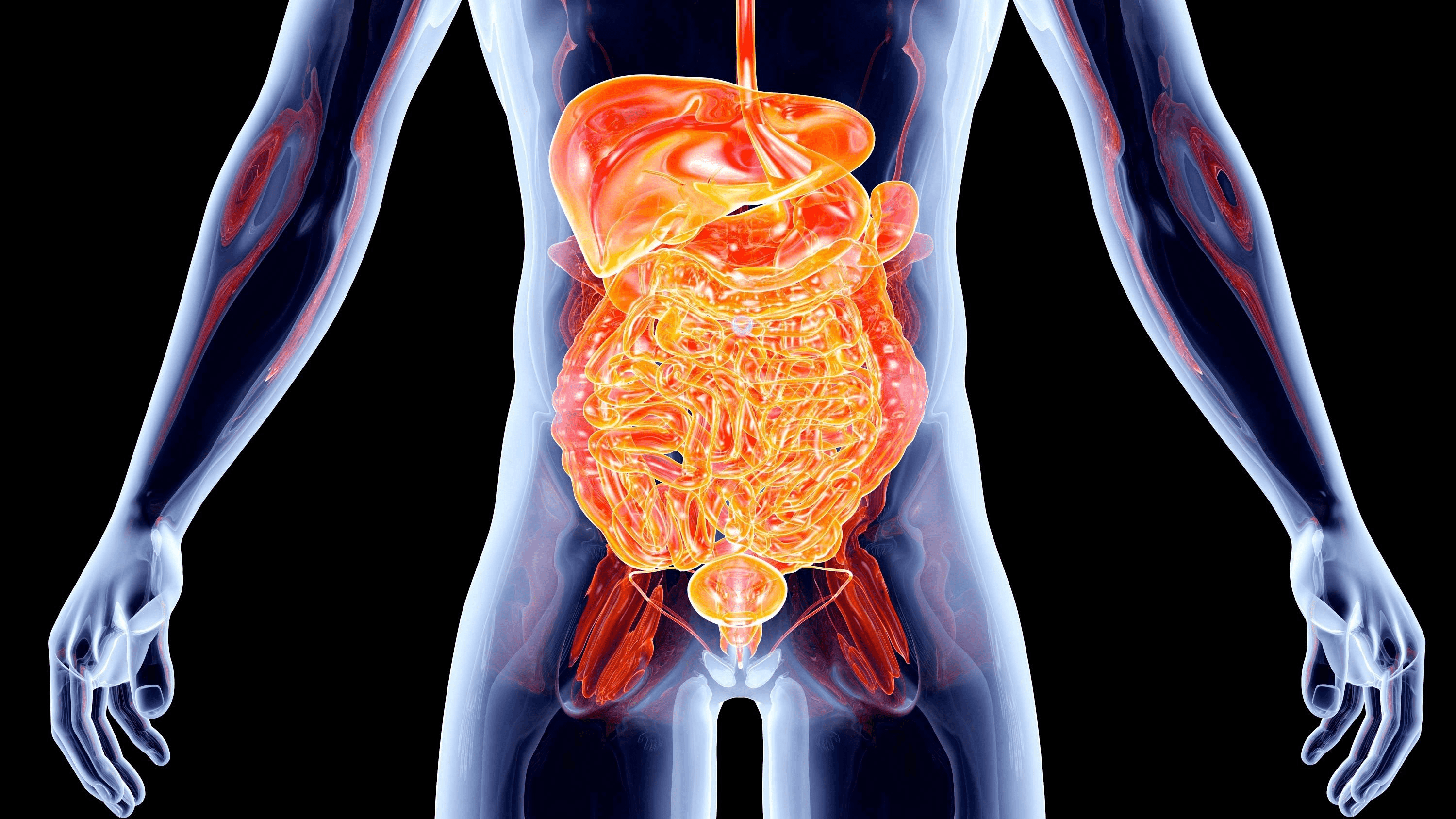 Dirtiest Organ in the Human Body