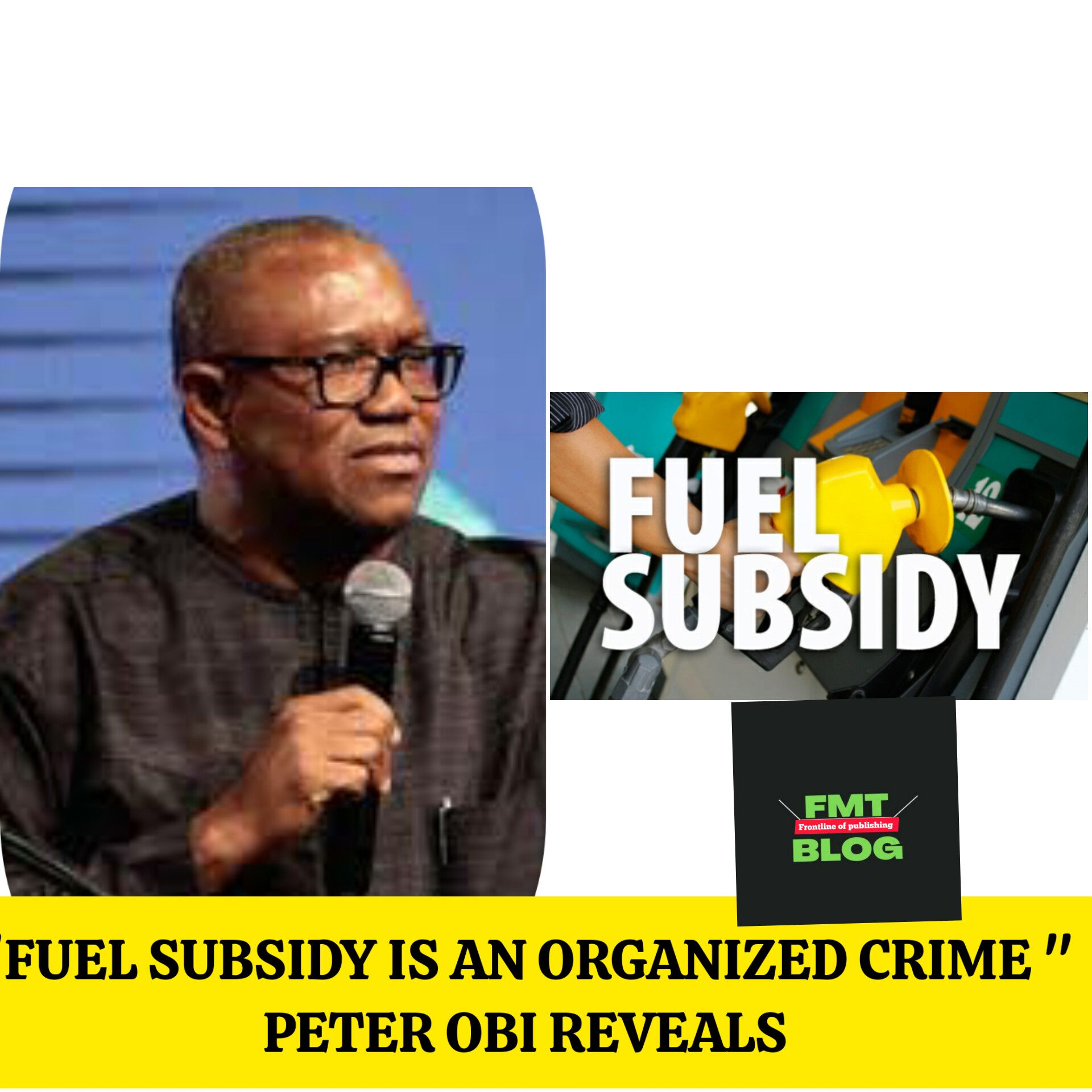 Fuel Subsidy