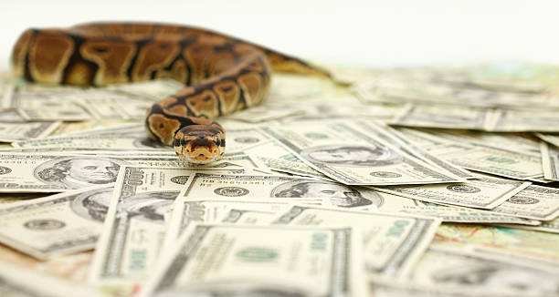 Lady Shares Story Of How She Slept With A Snake