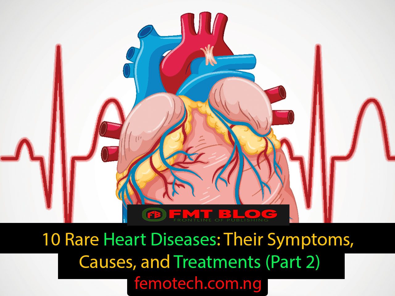 10 Rare Heart Diseases