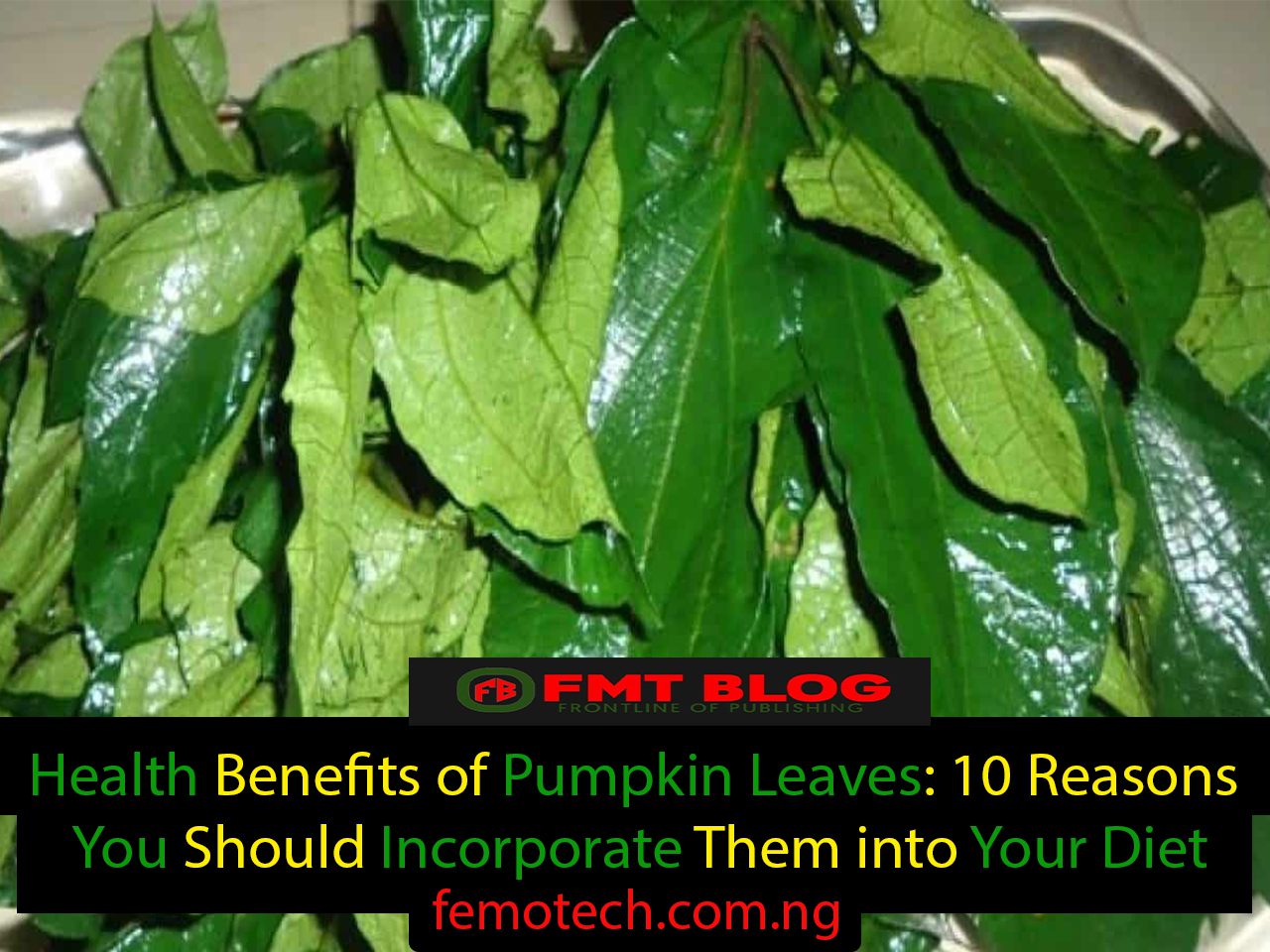 Health Benefits of Pumpkin Leaves