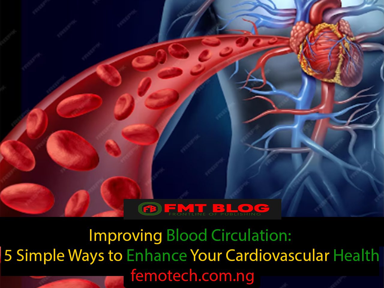 Improving Blood Circulation: 5 Simple Ways