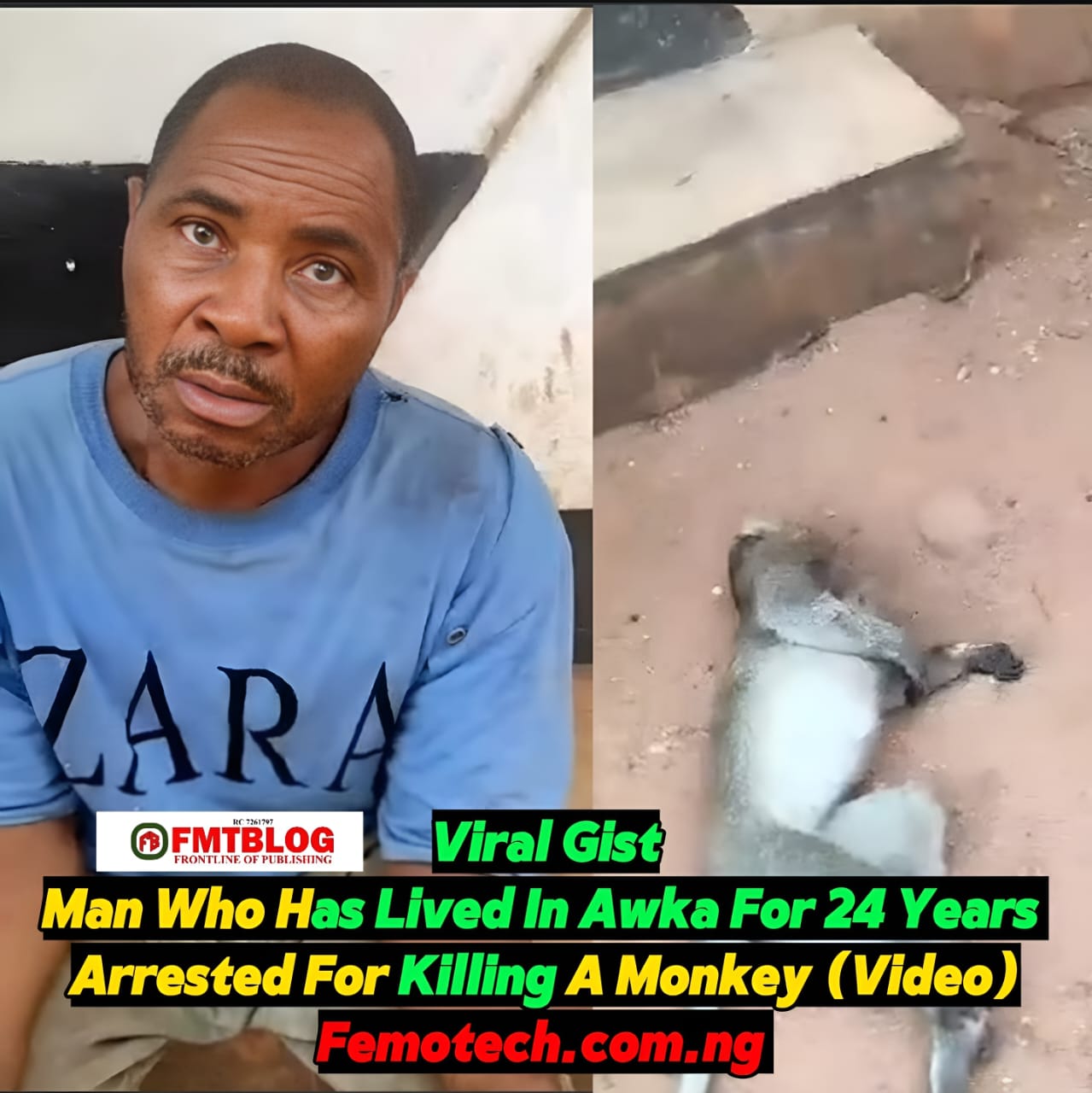 Man Who Has Lived In Awka For 24 Years Arrested For Killing A Monkey