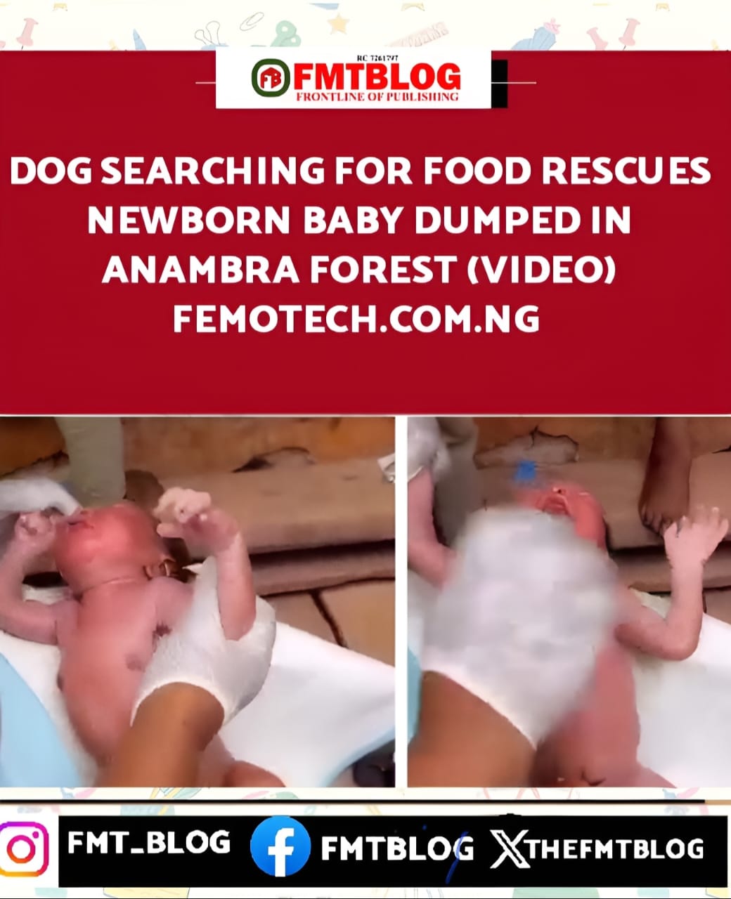 Dog Searching For Food Rescues Newborn Baby Dumped In Anambra Forest