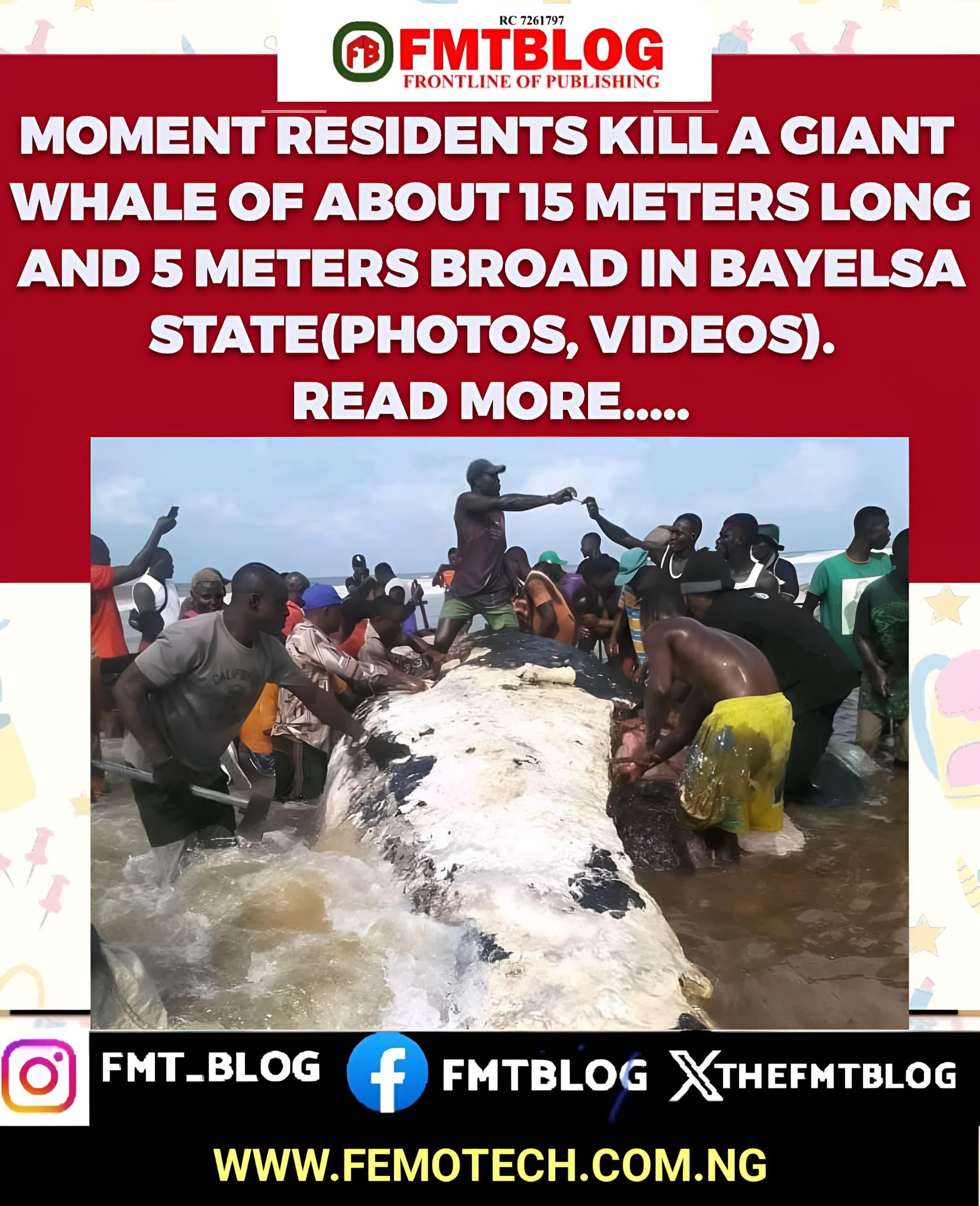 Residents kill a giant whale in Bayelsa State.
