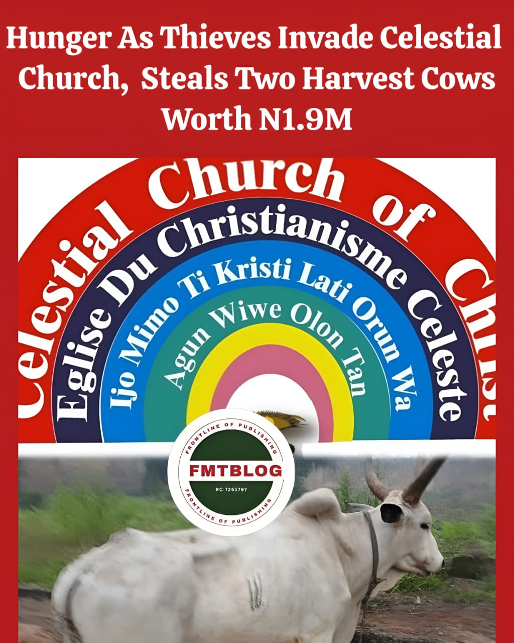 Thieves Invade Celestial Church, Steals Two Harvest Cows Worth N1.9M
