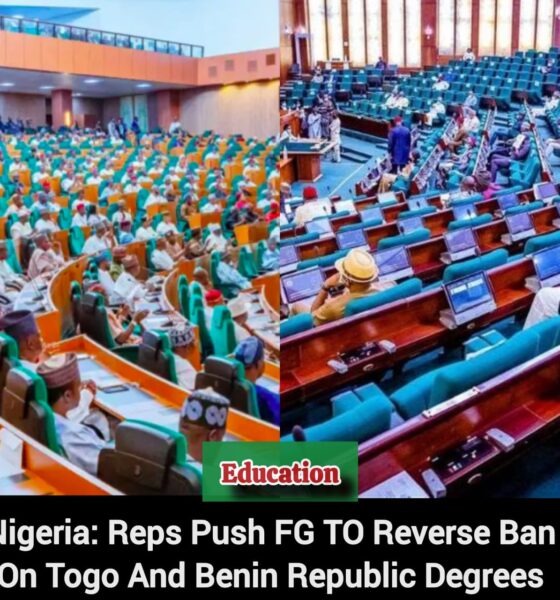 benin republic degrees